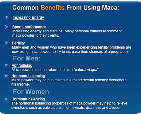 maca benefits